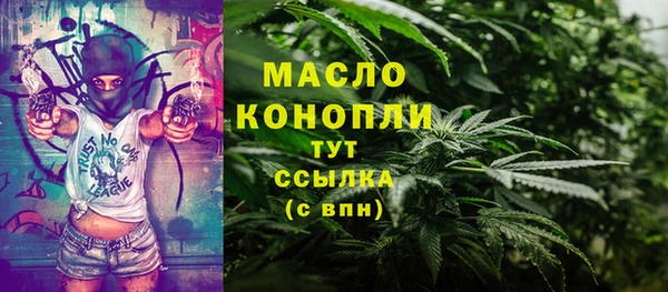 mdpv Богородицк