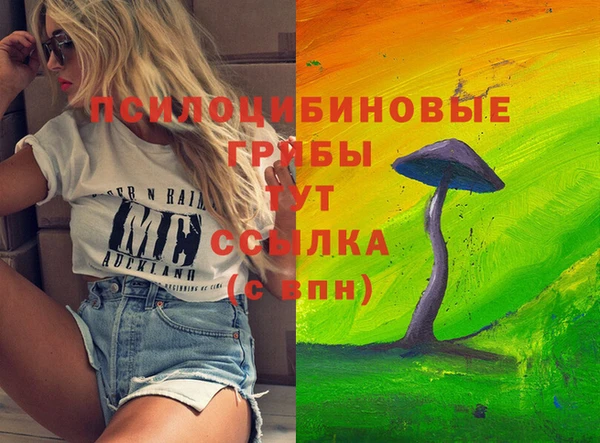 спайс Белокуриха