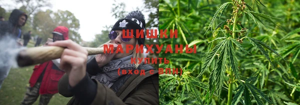 mdpv Богородицк