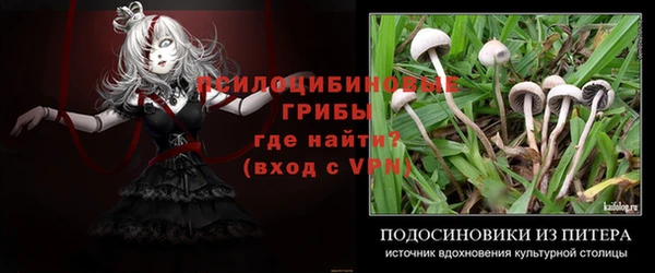 дурь Богородск